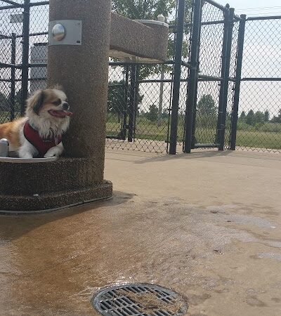 Maxwell Park Dog Park - Normal, IL