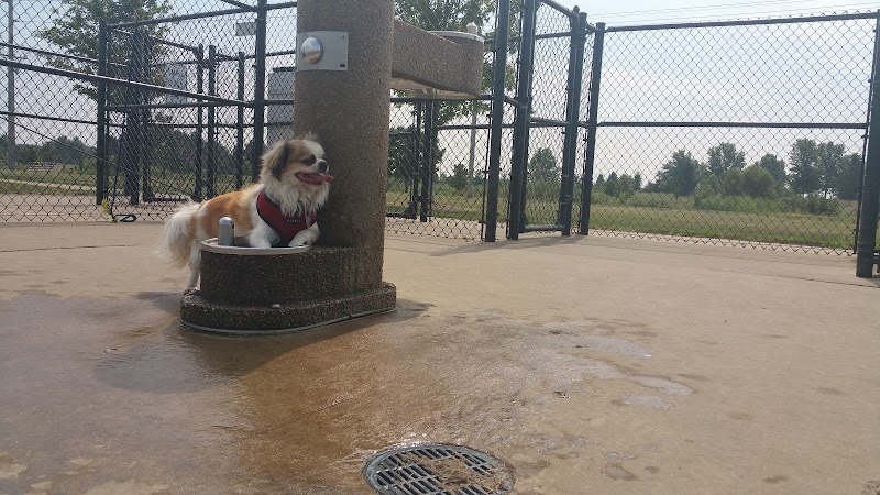 Maxwell Park Dog Park - Normal, IL