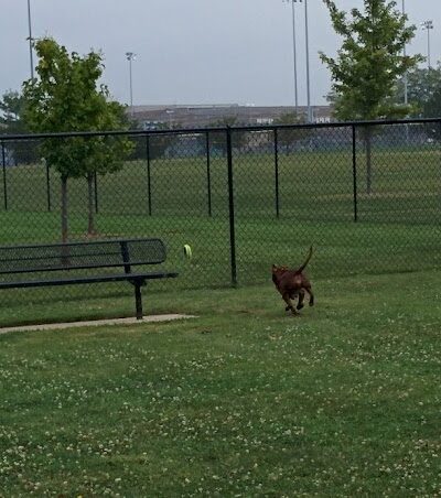 Maxwell Park Dog Park - Normal, IL