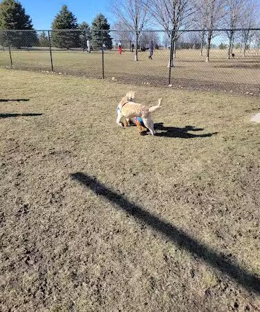 Maxwell Park Dog Park - Normal, IL