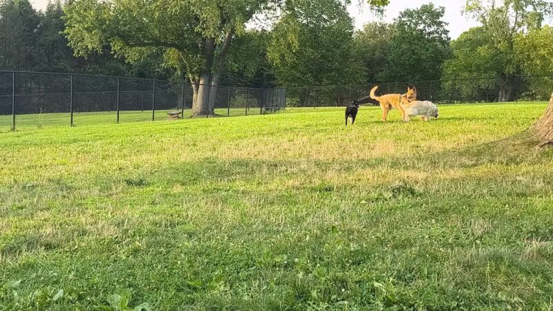 Cedar Creek Dog Park - North Belle Vernon, PA
