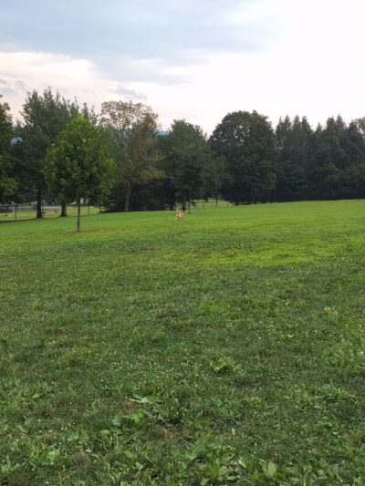 Cedar Creek Dog Park - North Belle Vernon, PA