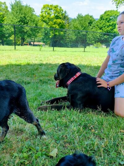 Cedar Creek Dog Park - North Belle Vernon, PA