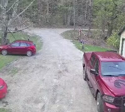 Lion's Park - North Bennington, VT