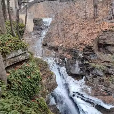 Mine Kill State Park - North Blenheim, NY