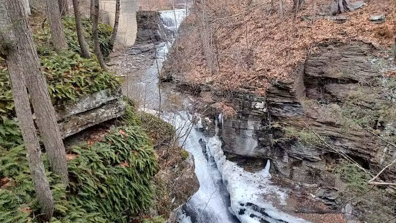 Mine Kill State Park - North Blenheim, NY