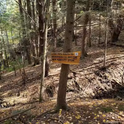 Mine Kill State Park - North Blenheim, NY
