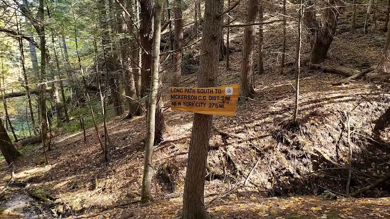 Mine Kill State Park - North Blenheim, NY