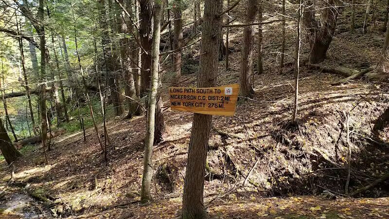 Mine Kill State Park - North Blenheim, NY