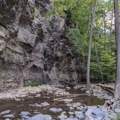 Mine Kill State Park - North Blenheim, NY