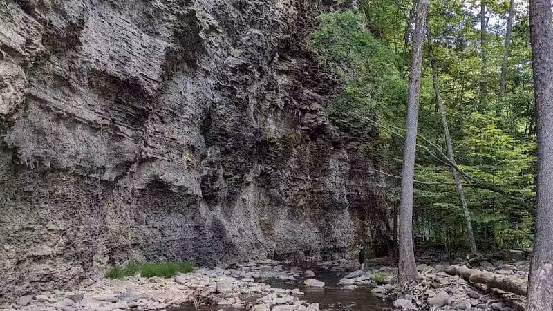 Mine Kill State Park - North Blenheim, NY