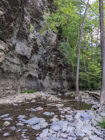Mine Kill State Park - North Blenheim, NY