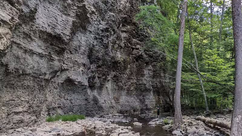 Mine Kill State Park - North Blenheim, NY