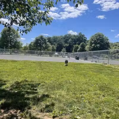 North Brunswick Dog Park - North Brunswick Township, NJ