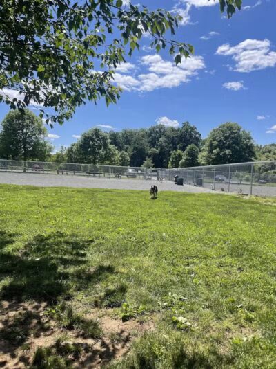 North Brunswick Dog Park - North Brunswick Township, NJ