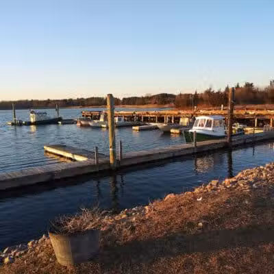 North Kingstown Dog Park - North Kingstown, RI