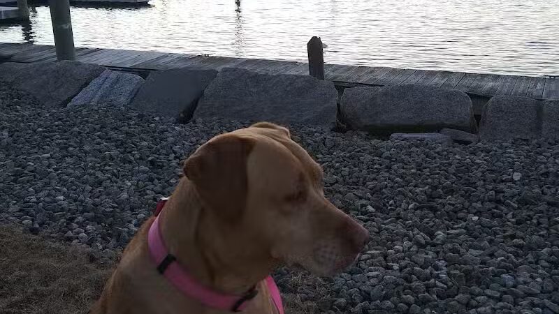 North Kingstown Dog Park - North Kingstown, RI