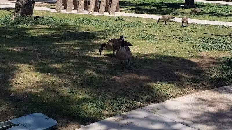 Craig Ranch Regional Park - North Las Vegas, NV