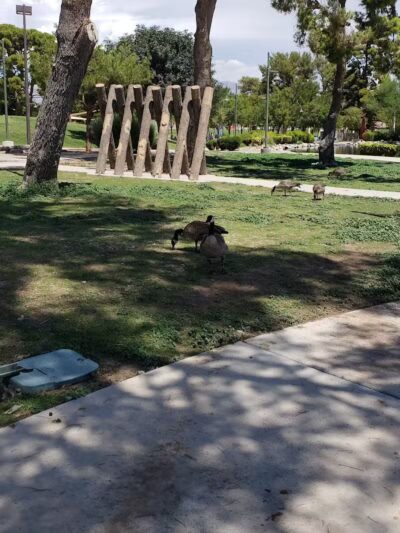 Craig Ranch Regional Park - North Las Vegas, NV