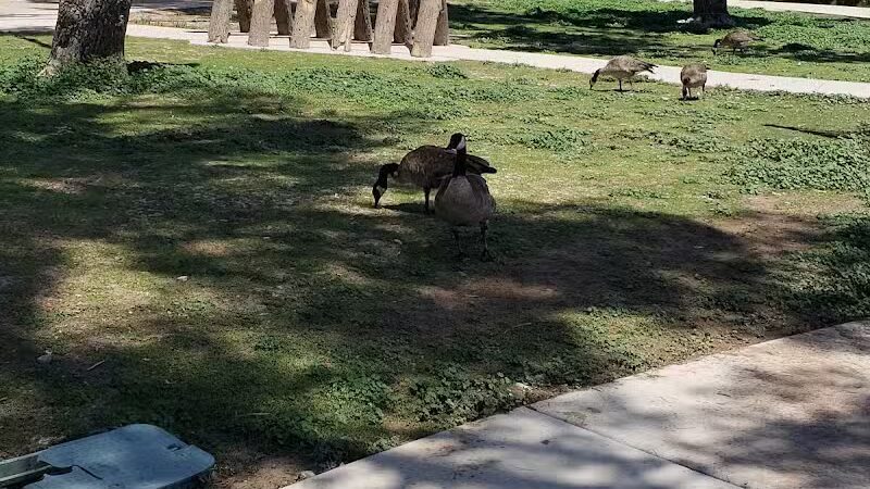 Craig Ranch Regional Park - North Las Vegas, NV