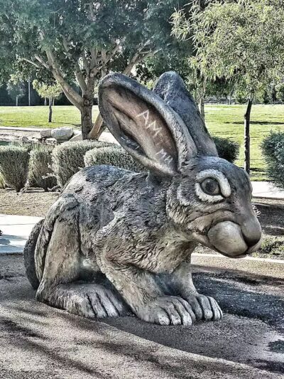 Craig Ranch Regional Park - North Las Vegas, NV