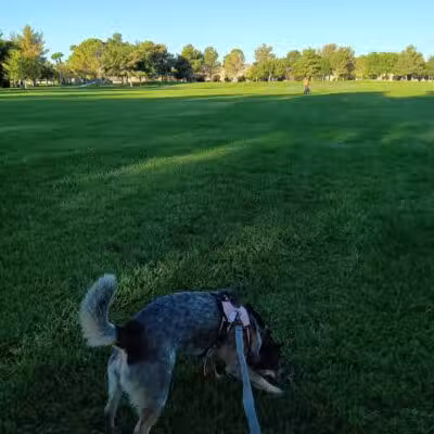 Eldorado Park - North Las Vegas, NV