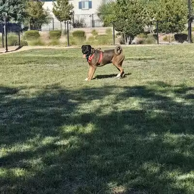 Galaxy Park - North Las Vegas, NV