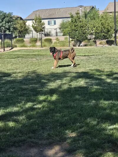 Galaxy Park - North Las Vegas, NV