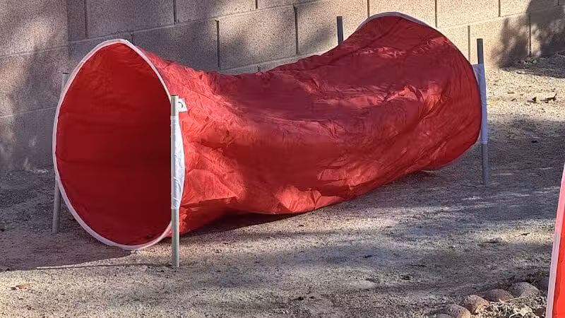 Kaurie’s fully fenced yard with agility trading course - North Las Vegas, NV