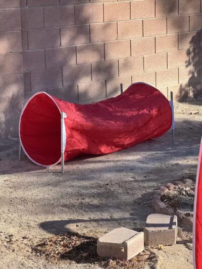 Kaurie’s fully fenced yard with agility trading course - North Las Vegas, NV