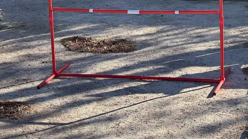Kaurie’s fully fenced yard with agility trading course - North Las Vegas, NV