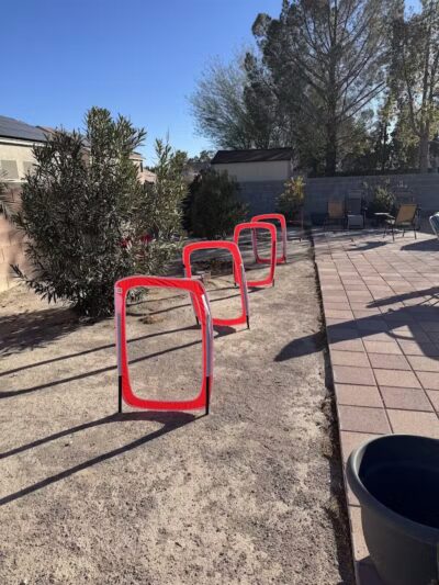 Kaurie’s fully fenced yard with agility trading course - North Las Vegas, NV