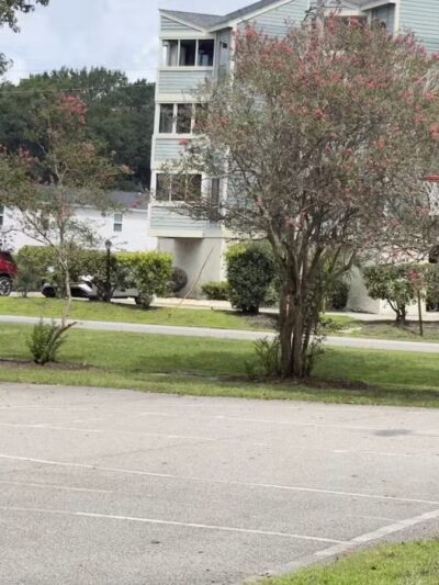 Central Park - North Myrtle Beach, SC