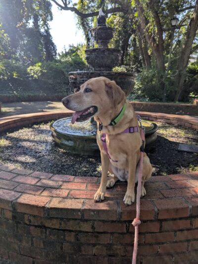 McLean Park - North Myrtle Beach, SC