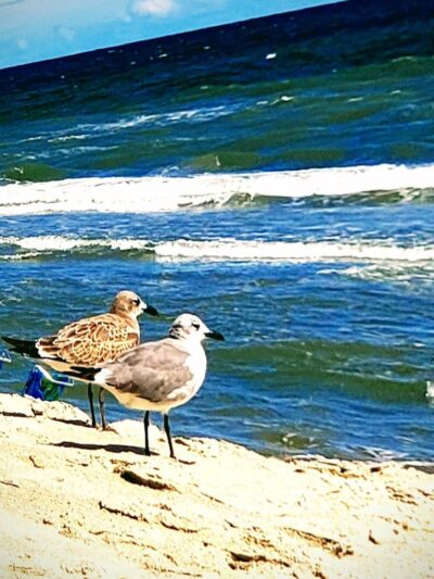 Cherry Grove Oceanfront Park - North Myrtle Beach, SC