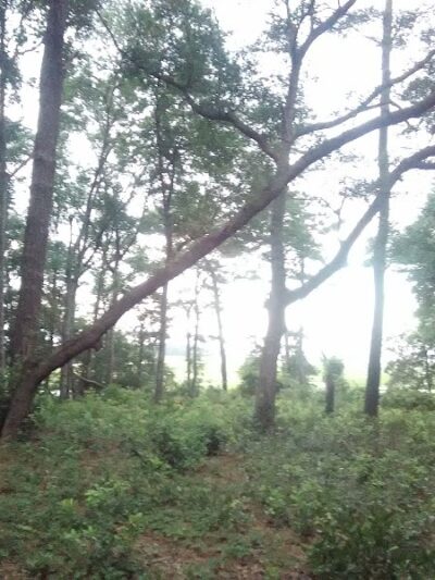 Frink Park - North Myrtle Beach, SC