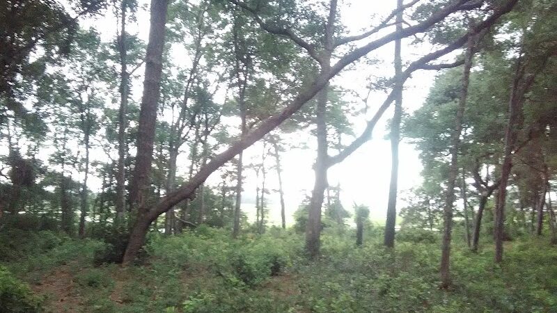 Frink Park - North Myrtle Beach, SC