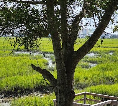 Frink Park - North Myrtle Beach, SC