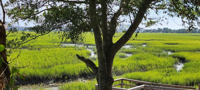 Frink Park - North Myrtle Beach, SC