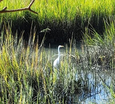Frink Park - North Myrtle Beach, SC