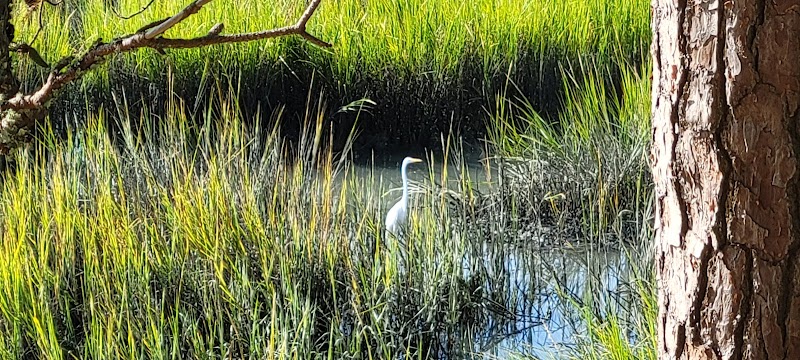Frink Park - North Myrtle Beach, SC