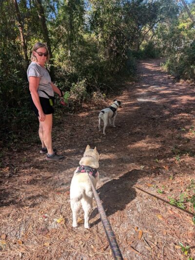 Ingram Dunes Nature Preserve - North Myrtle Beach, SC