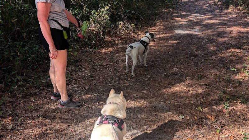 Ingram Dunes Nature Preserve - North Myrtle Beach, SC