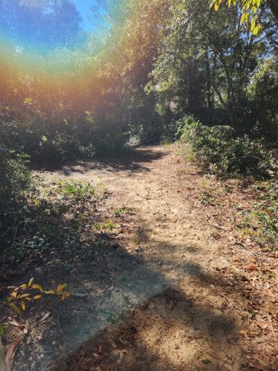 Ingram Dunes Nature Preserve - North Myrtle Beach, SC