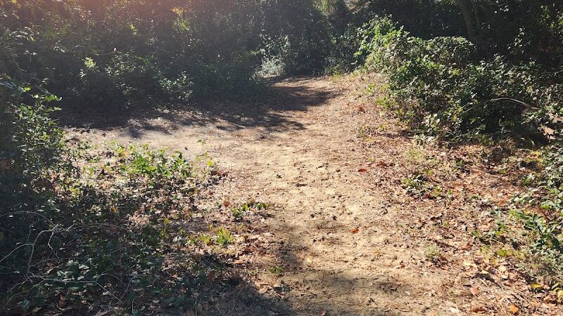 Ingram Dunes Nature Preserve - North Myrtle Beach, SC
