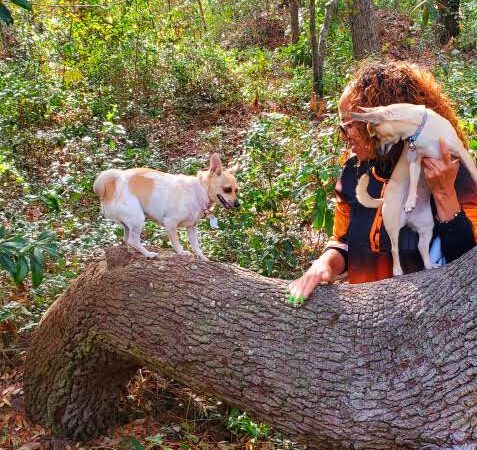 Ingram Dunes Nature Preserve - North Myrtle Beach, SC