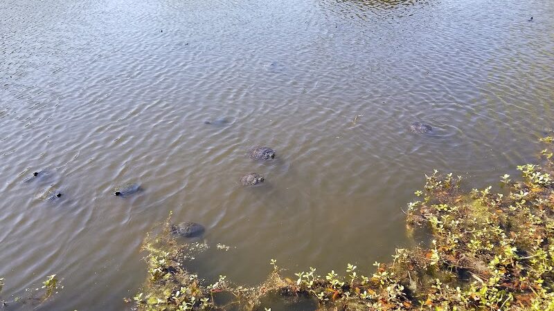 McLean Park - North Myrtle Beach, SC