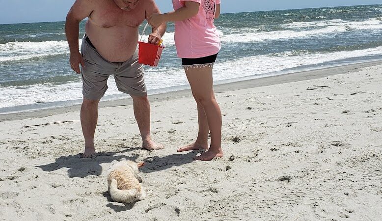 Public Beach Access - North Myrtle Beach, SC