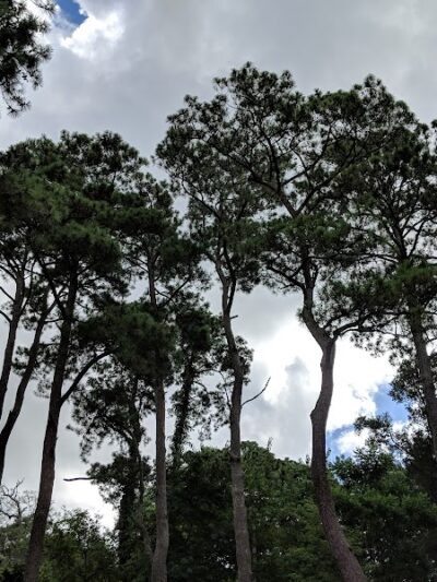 Yow Park - North Myrtle Beach, SC