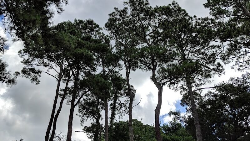 Yow Park - North Myrtle Beach, SC
